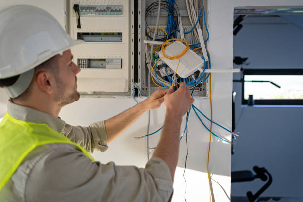 Best Electric Panel Repair  in Lyndon, KY